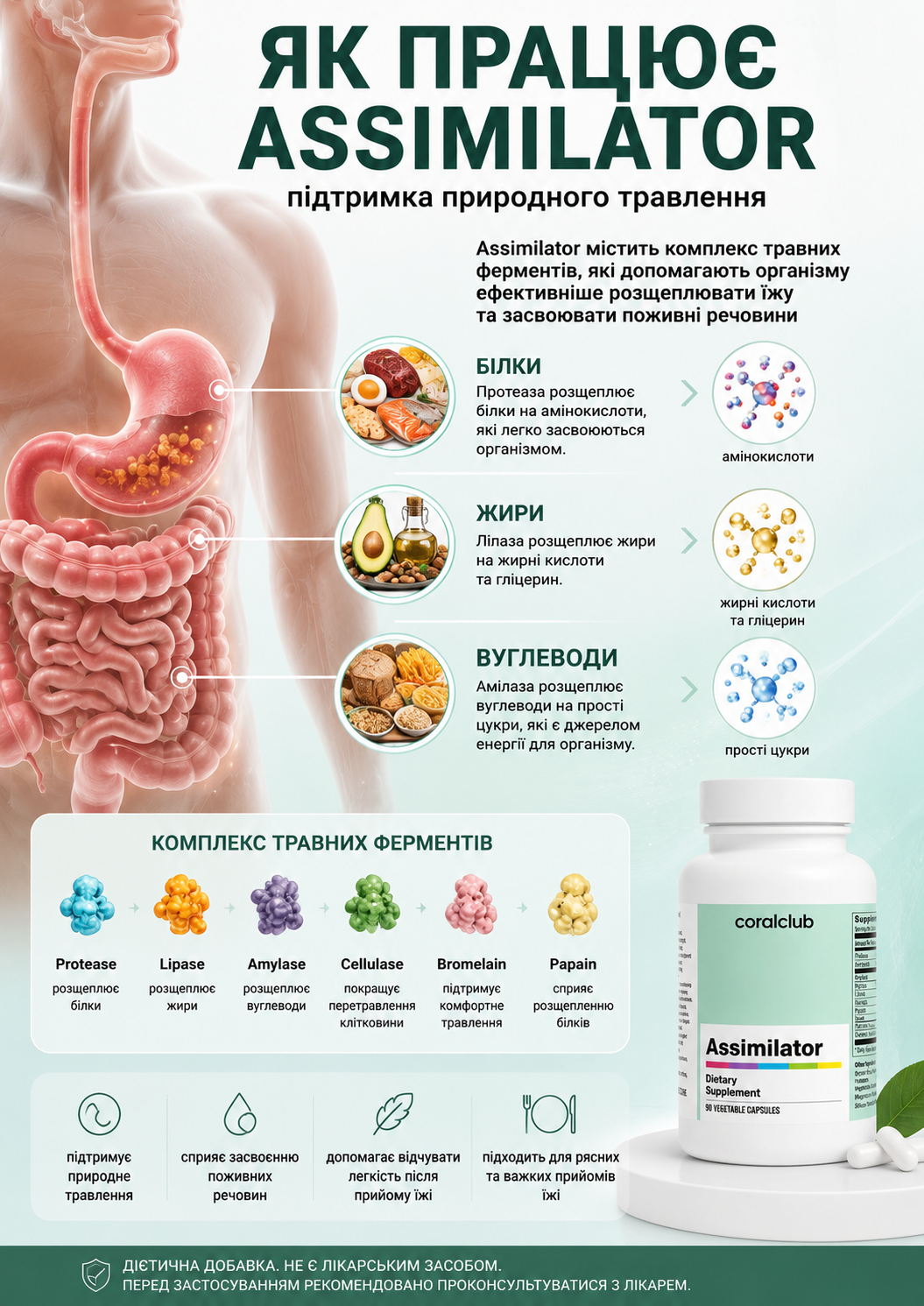 Портрет человека